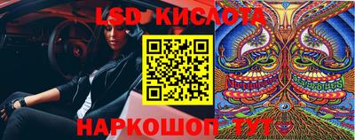 крисы Новокубанск
