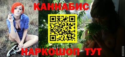 крисы Новокубанск