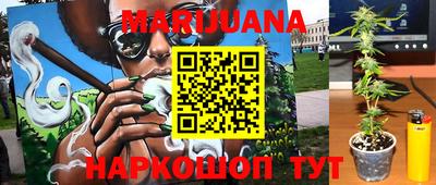 крисы Новокубанск