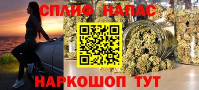 крисы Новокубанск
