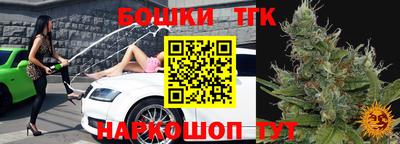крисы Новокубанск